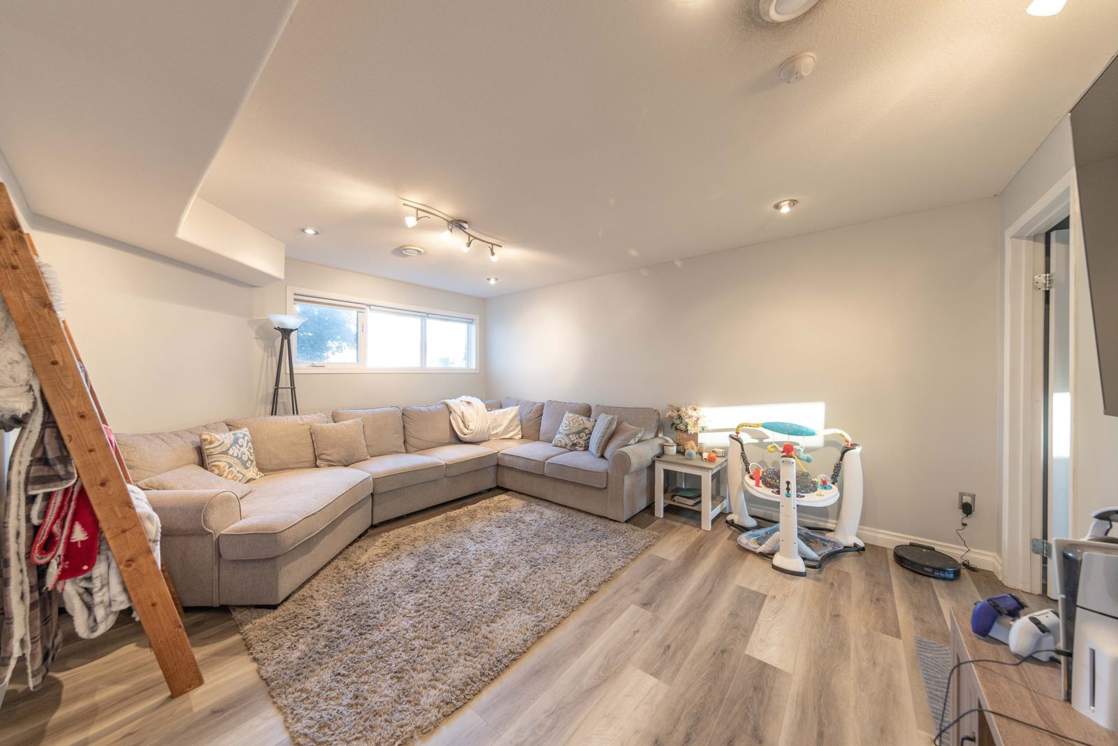 Lower-level family room