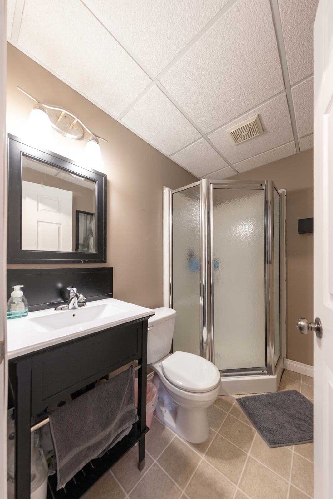 Lower-level bathroom